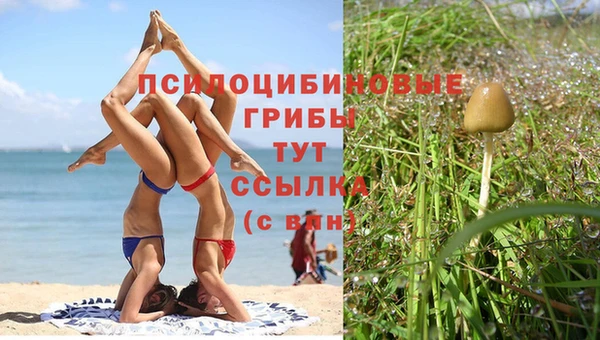a pvp Ростов
