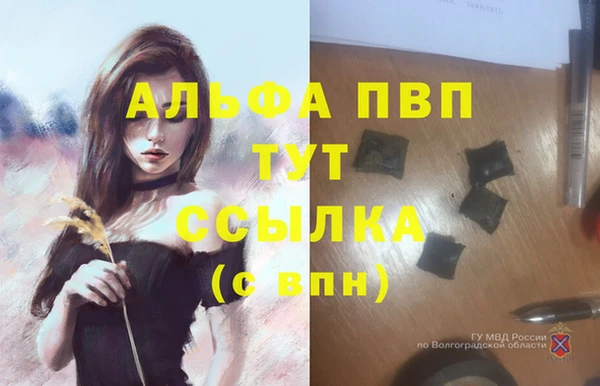 apvp Рославль