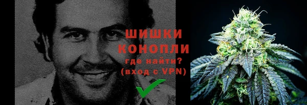 apvp Рославль