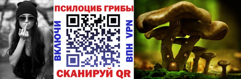 Галлюциногенные грибы мицелий  Сретенск 