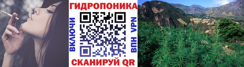 OMG как войти Сретенск Конопля AK-47